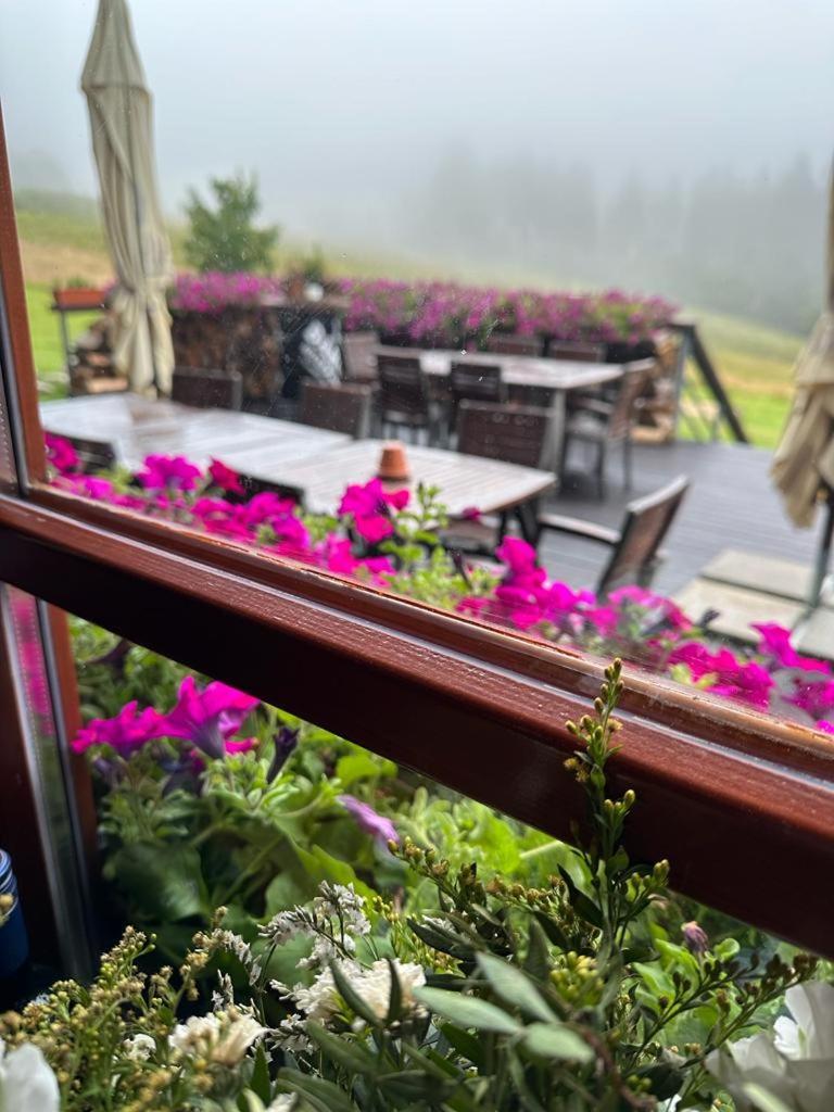 Hotel Oddech Pec pod Sněžkou Zewnętrze zdjęcie